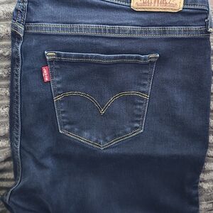 Levi's Women's Blue Jeans